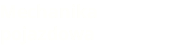 Mechanika pojazdowa