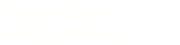 Diagnostyka komputerowa