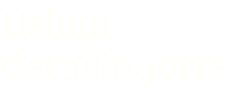 Usługi detailingowe