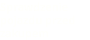 Sprawdzenie pojazdu przed zakupem